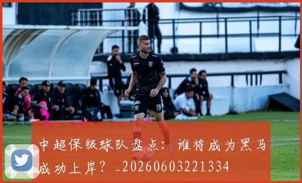 中超保级球队盘点:谁将成为黑马成功上岸?_20260603221334