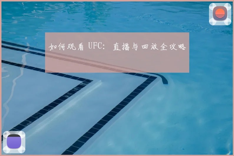 如何观看 UFC：直播与回放全攻略